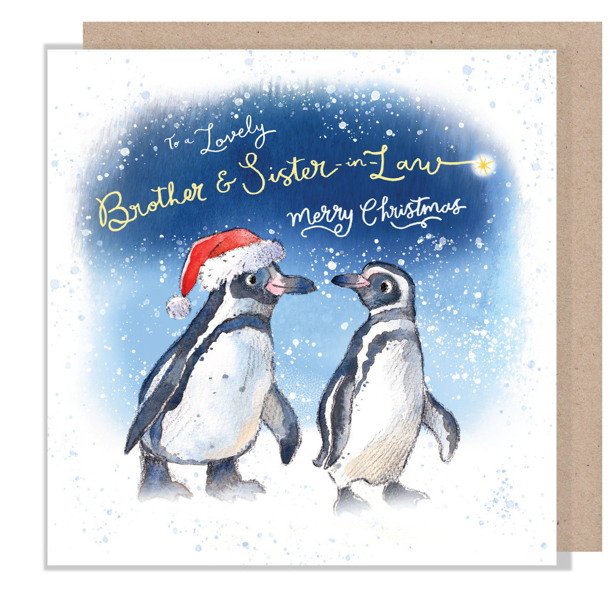 Christmas Card - Brother & Sister-In-Law - Penguin Couple