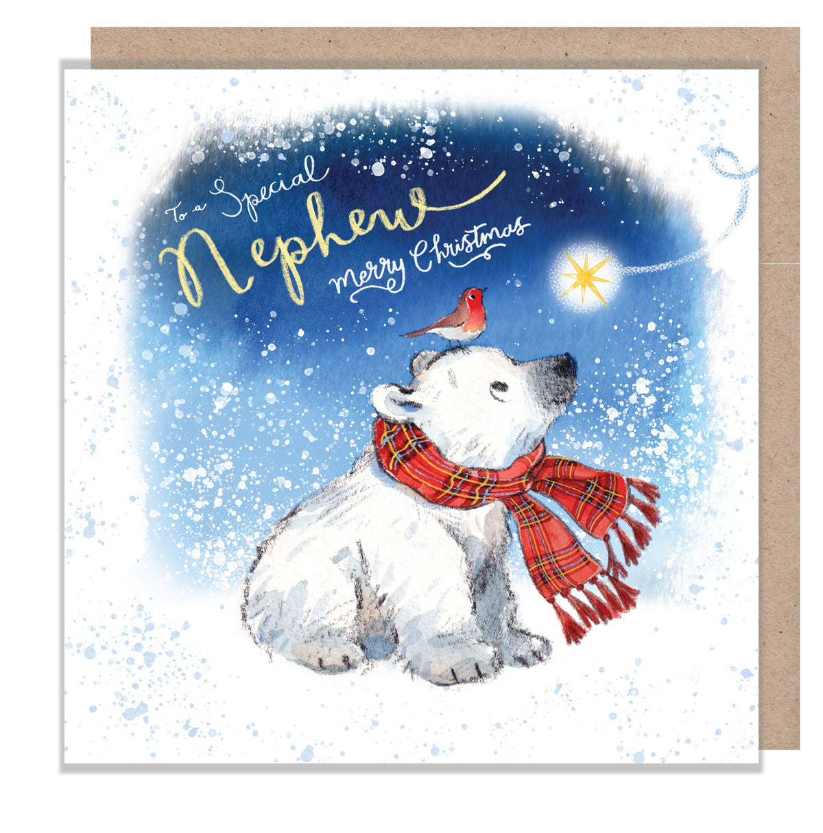Christmas Card - Nephew - Polar Bear Cub with Robin and Star