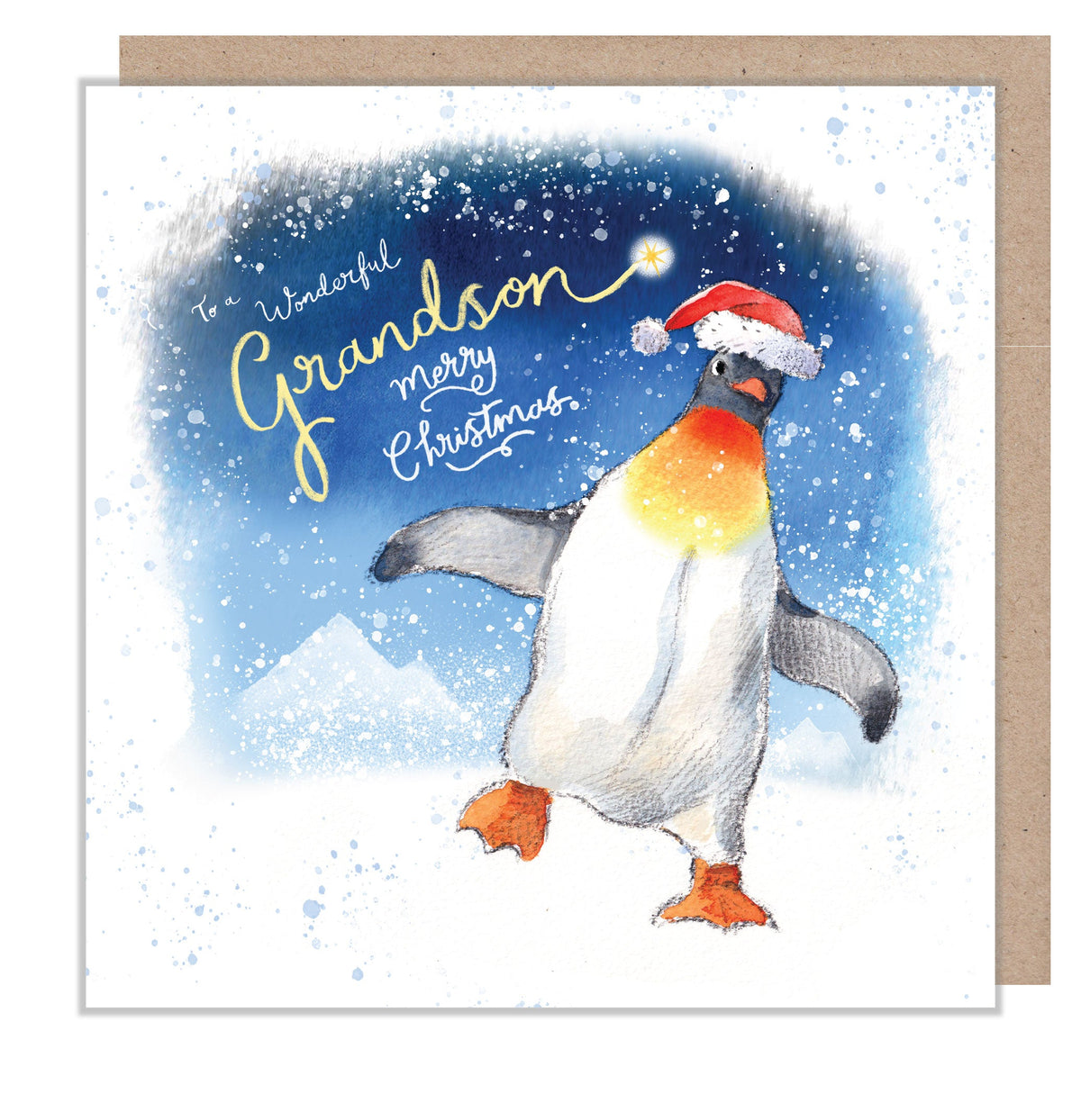 Christmas Card - Grandson - Penguin Wearing Hat