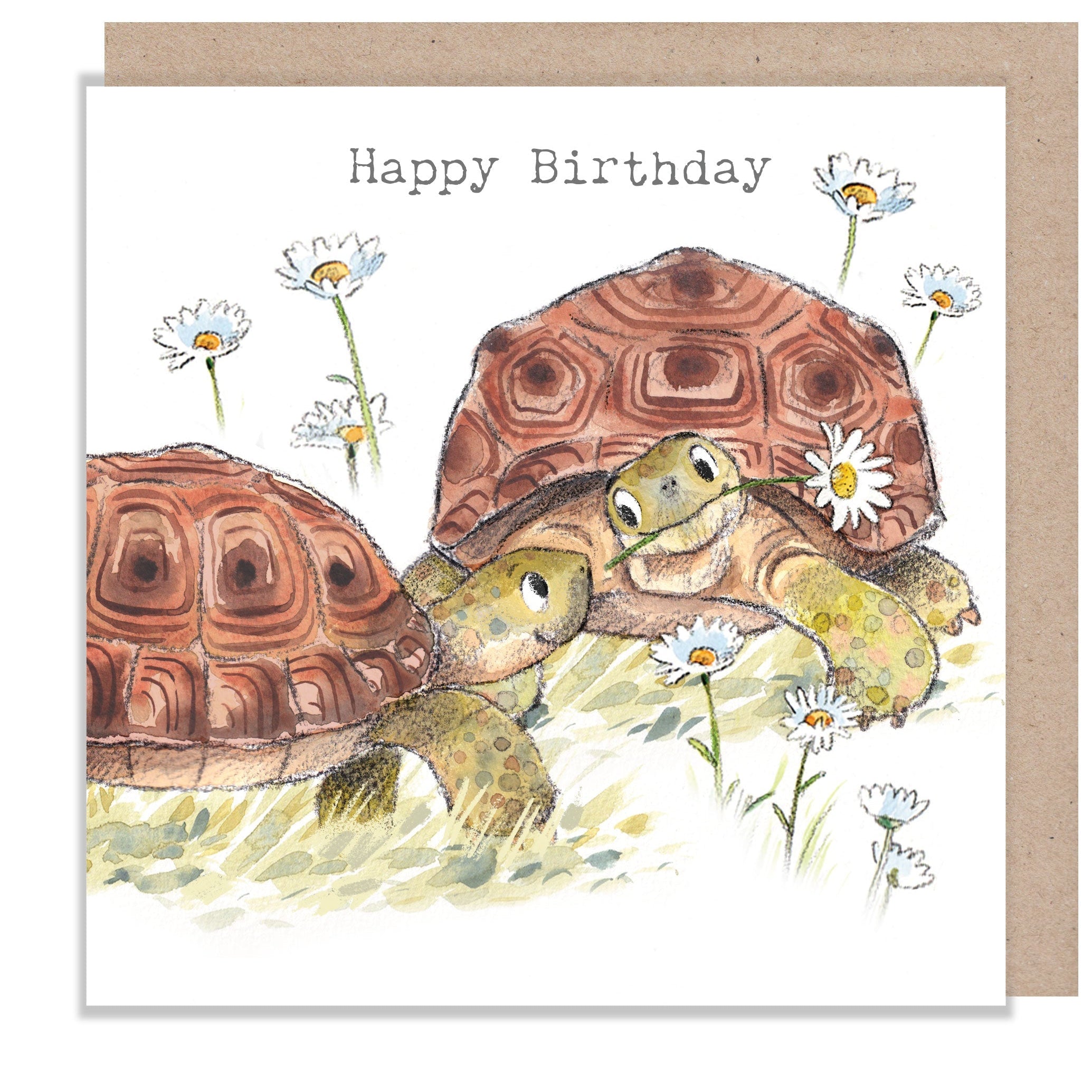 Greeting Card - Happy Birthday - 2 Tortoises with Daisies
