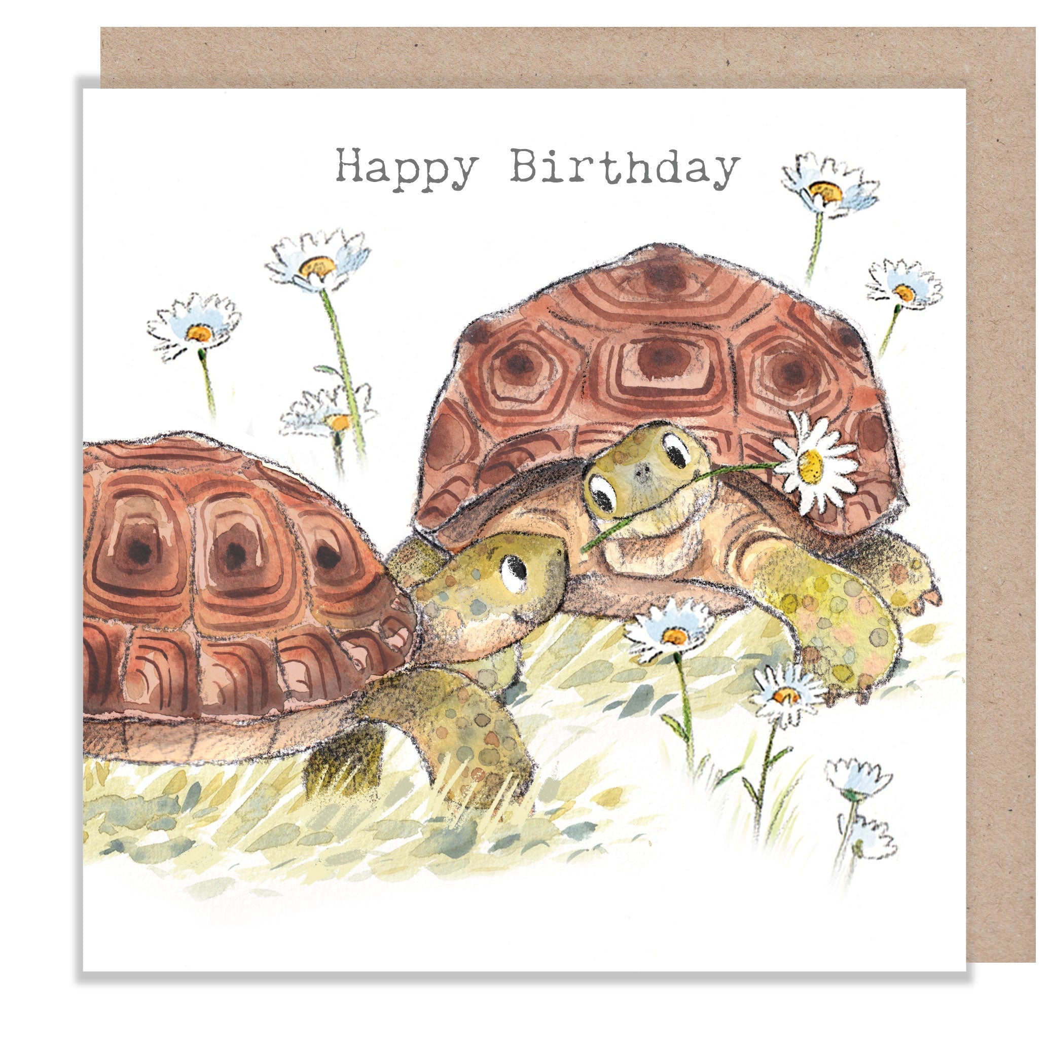 Greeting Card - Happy Birthday - 2 Tortoises with Daisies