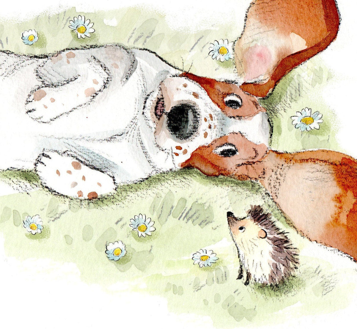 Cute Dog Card - Blank - Basset with Hedgehog