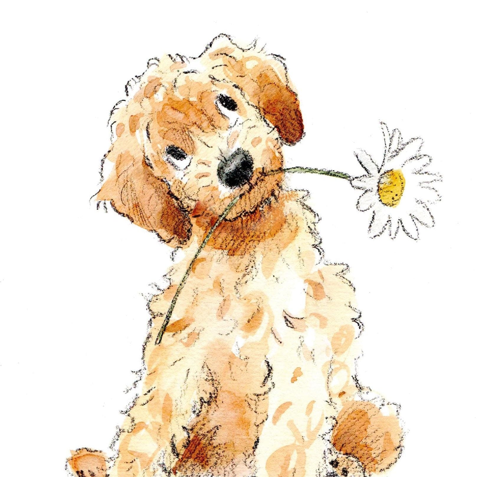 Large Greeting Card - Happy Birthday - Golden Cockapoo with Daisy