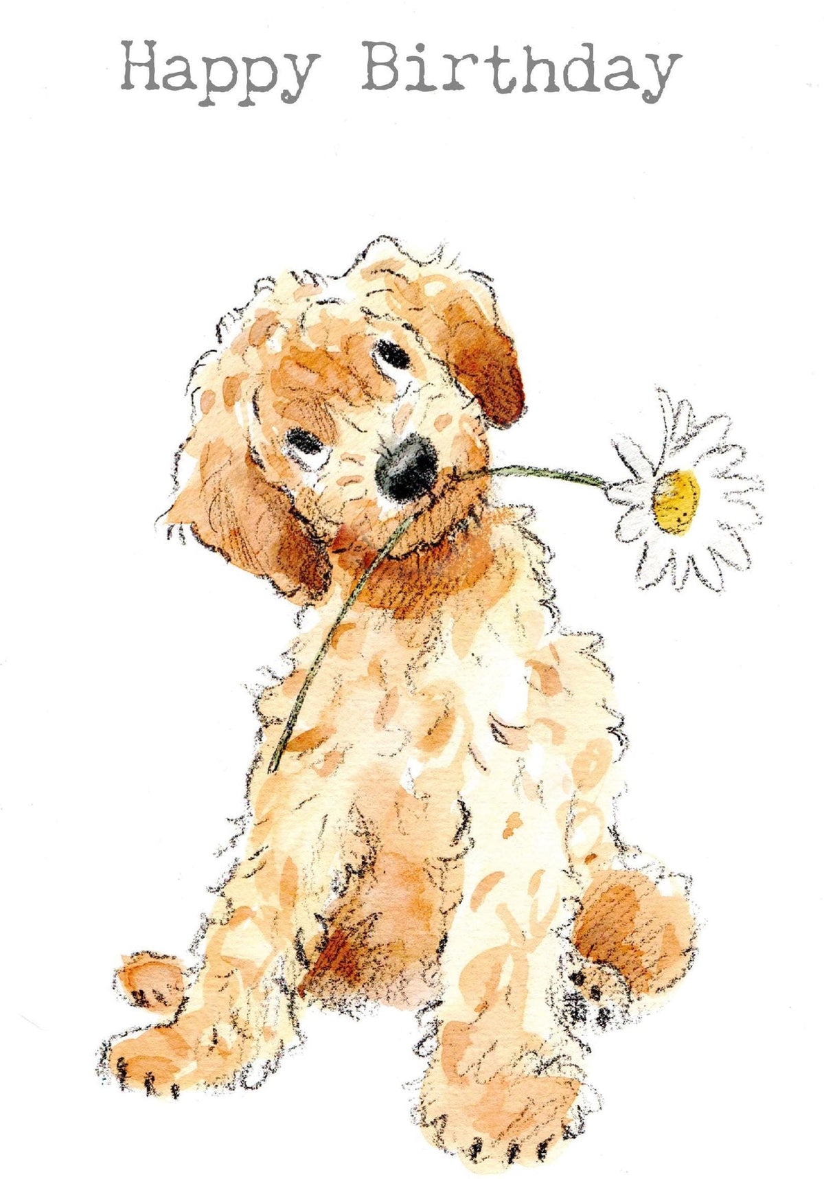 Large Greeting Card - Happy Birthday - Golden Cockapoo with Daisy