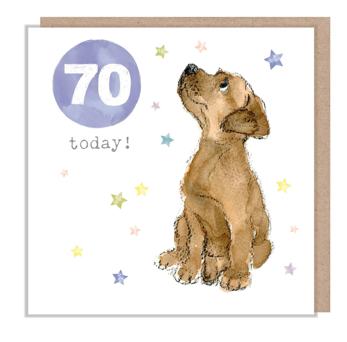 Age 70 Card - Brown Labrador with Stars