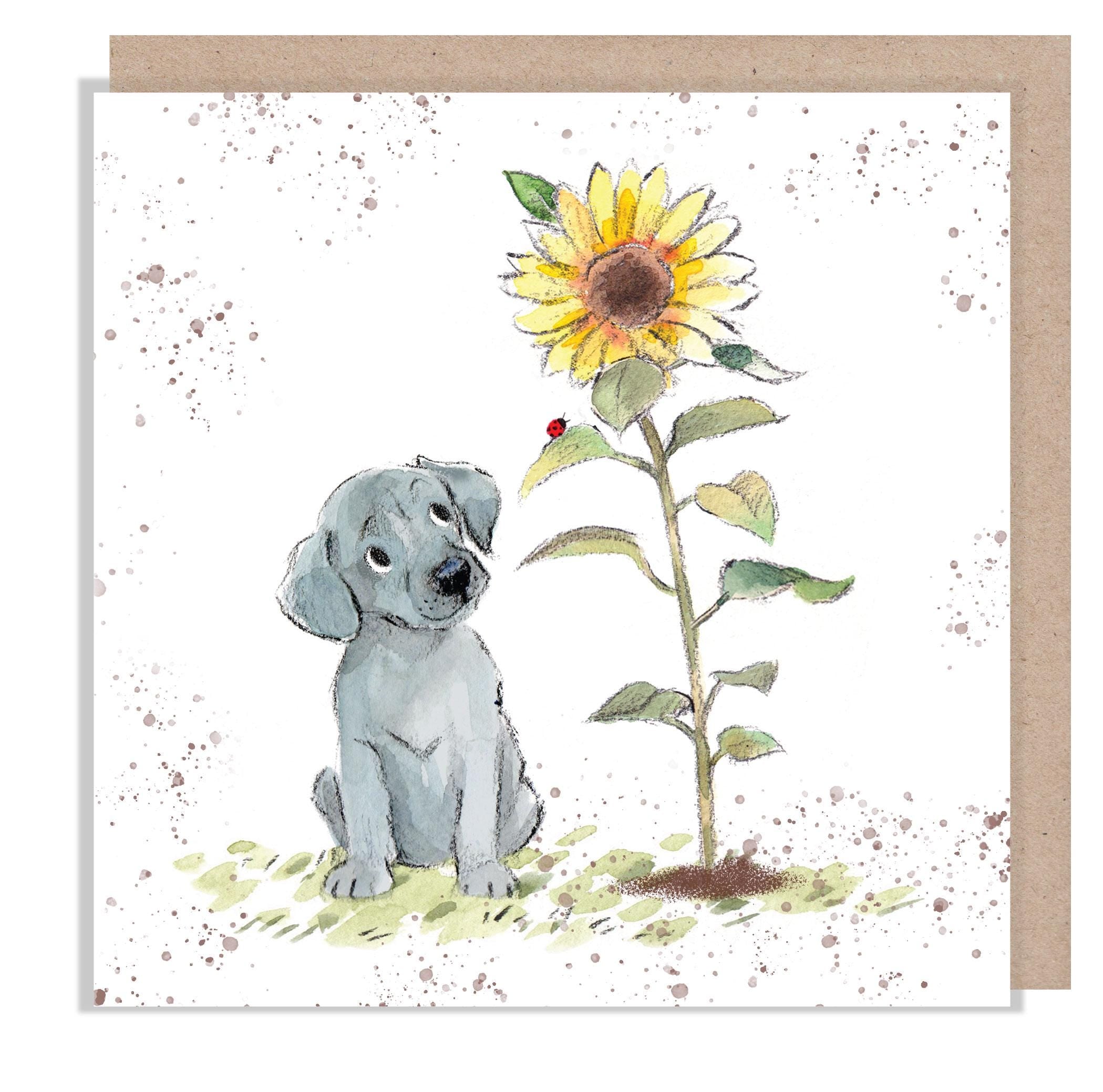 Blank Greeting Card - Grey Puppy with Sunflower