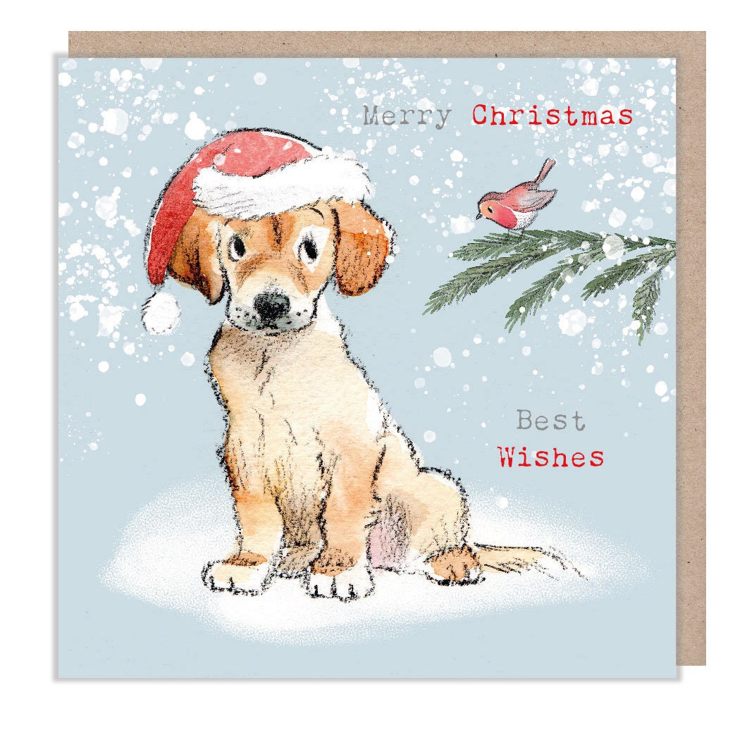 Christmas Card - Golden Retriever/Labrador Wearing Hat Looking at Robin. Merry Christmas - Best Wishes