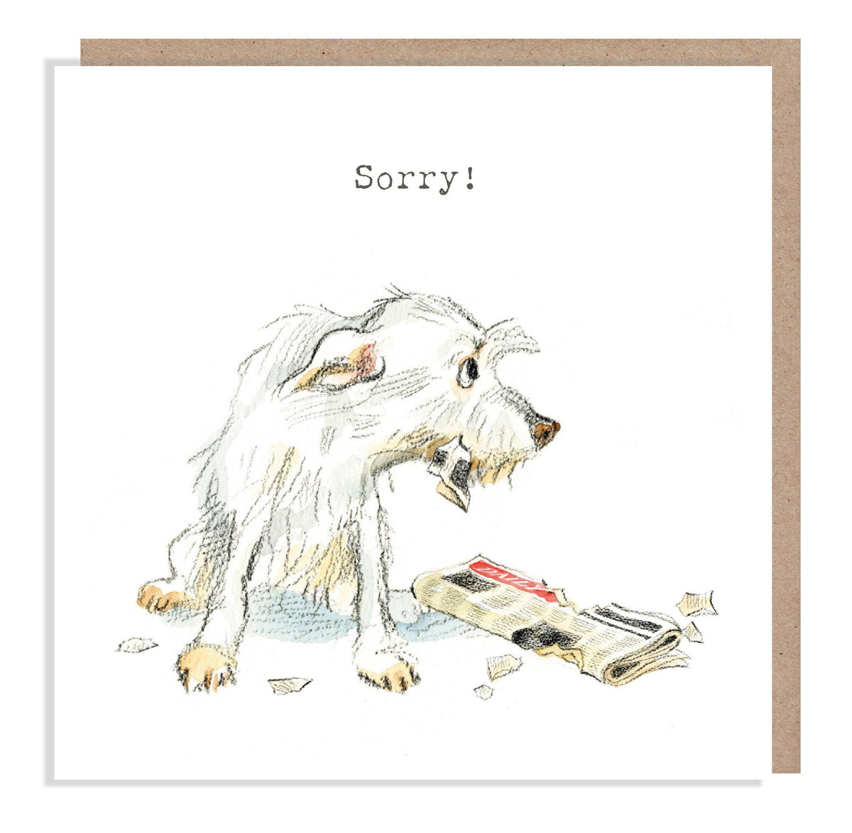 Cute Dog Card - Sorry - White Dog with Newspaper