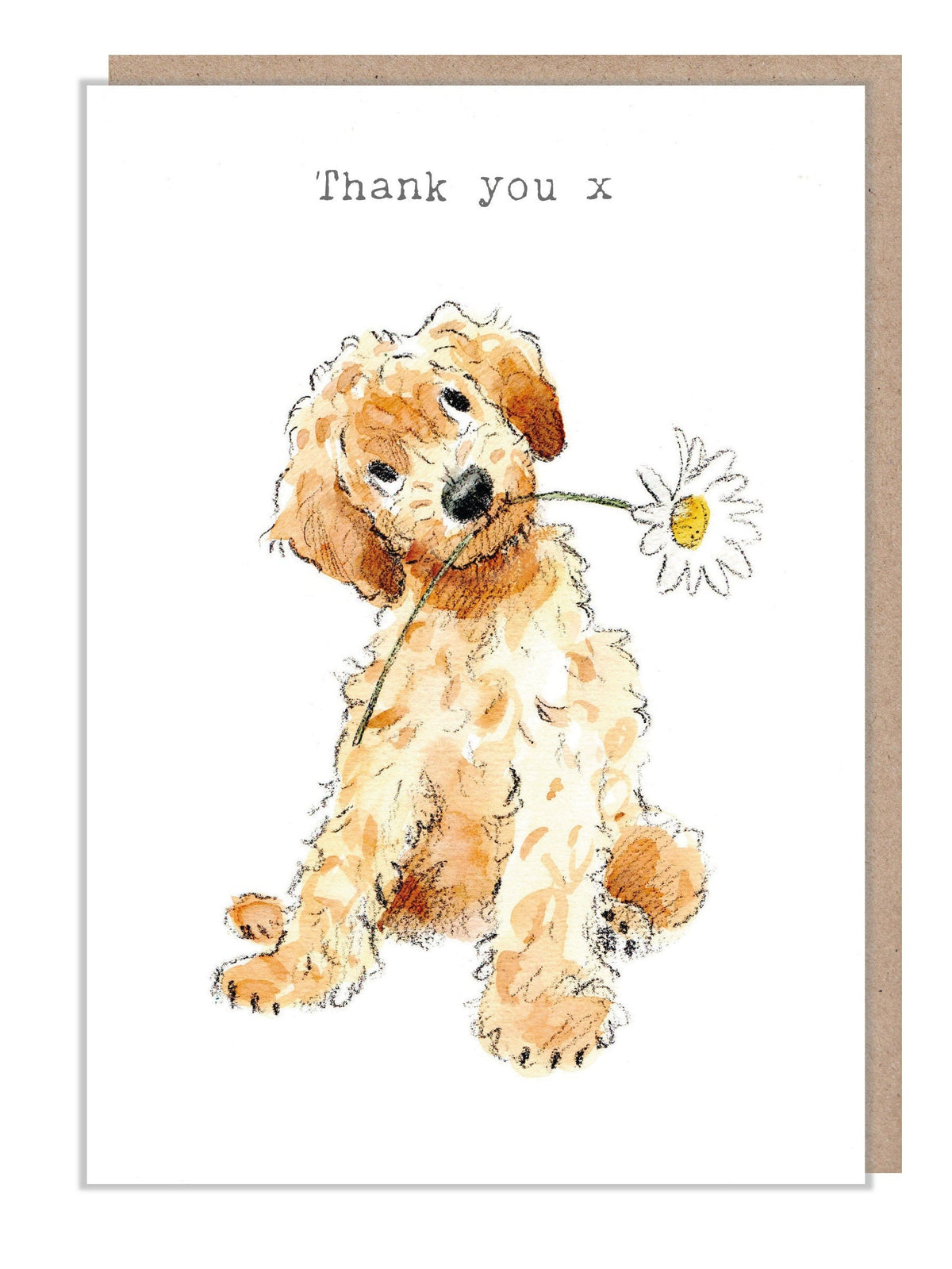 Cute Dog Card - Thank You - Cockapoo with Daisy