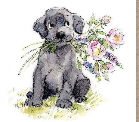 Notelet Packs - Black Labrador