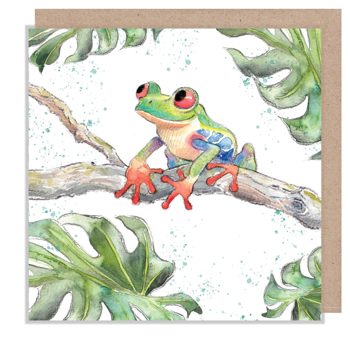 Blank Greeting Card - Tree Frog on a Branch