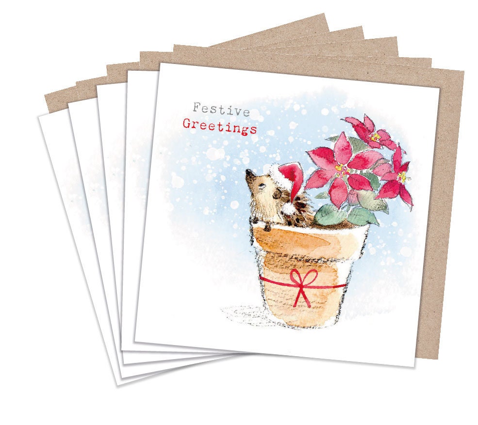 Christmas Card Pack - Hedgehog in Flower Pot
