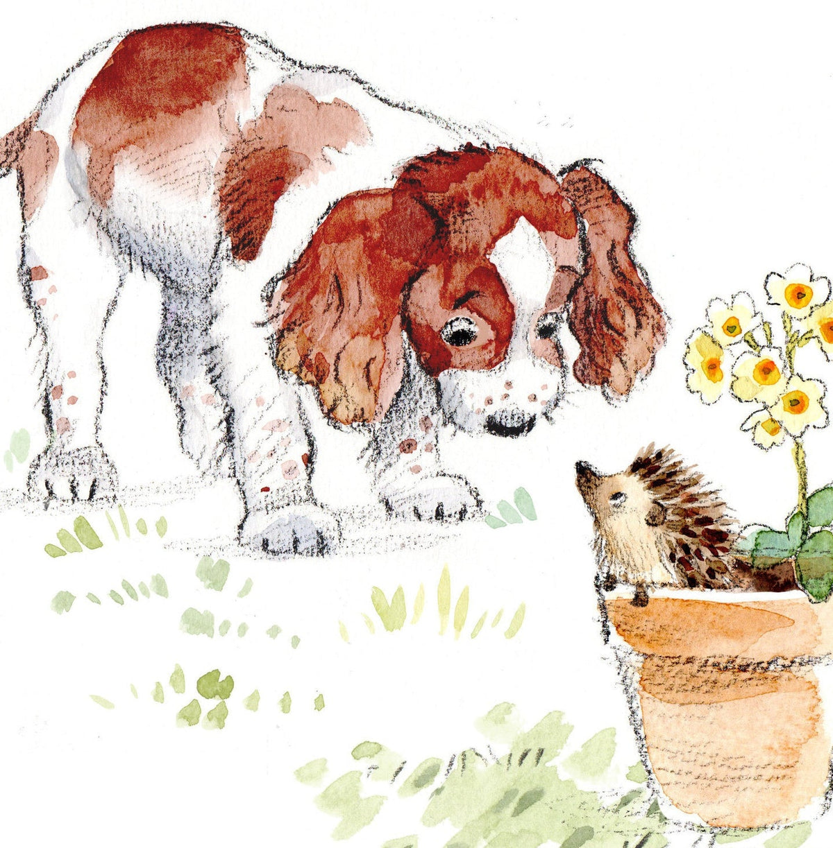 Cute Dog Card - Blank - Springer Spaniel with Hedgehog