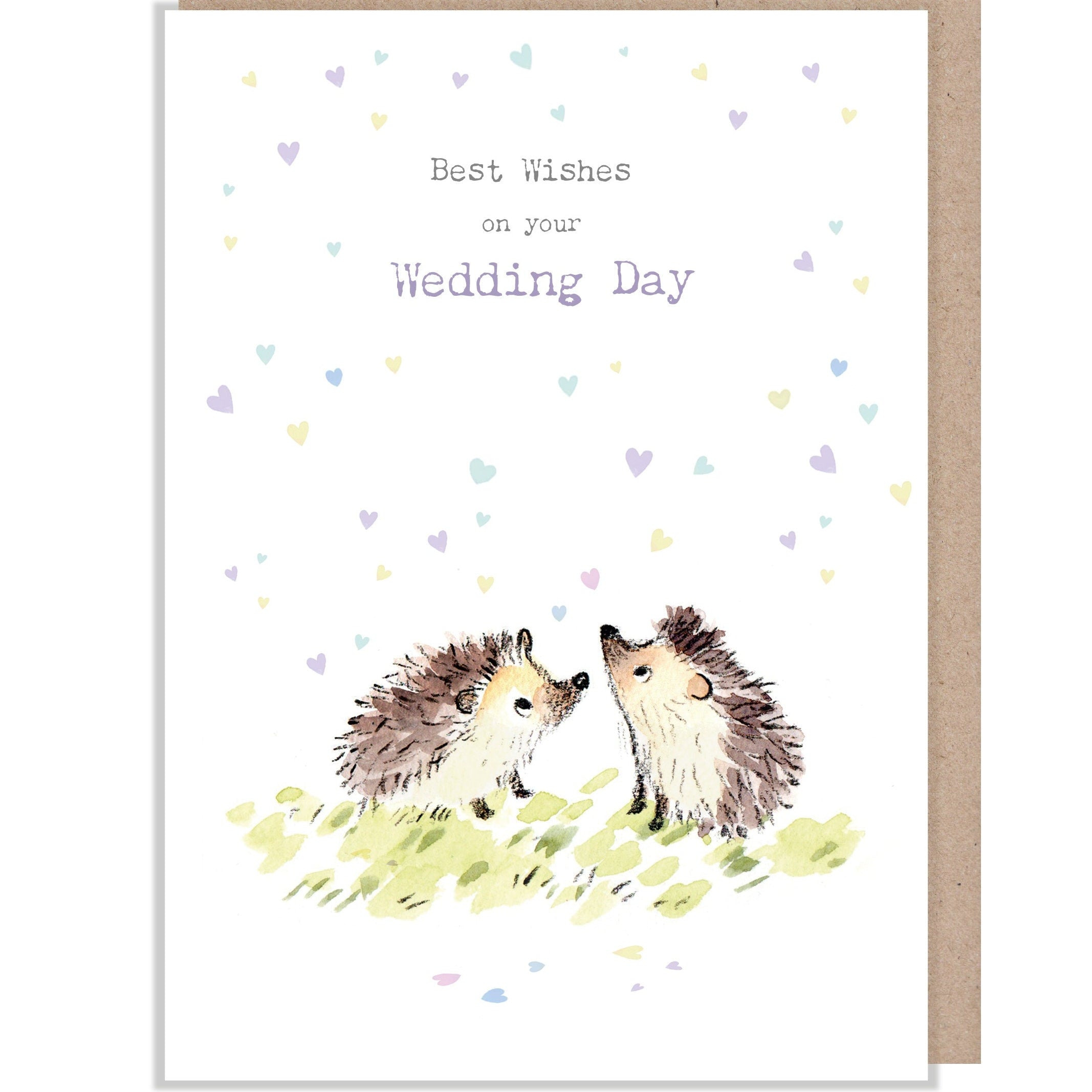 Wedding Card - Best Wishes on Your Wedding Day - 2 Hedgehogs with Confetti