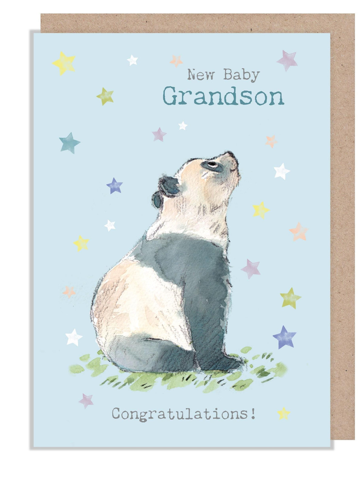 New Baby Grandson Card - Charming illustration - Panda - 'Wonderfully Wild'  range - Made in UK -  WWE041