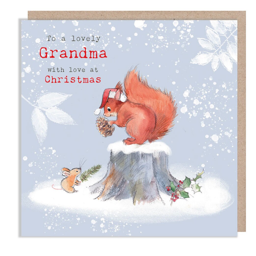 Christmas Card- Red Squirrel Wearing Hat Looking at Mouse. to a Lovely Grandma