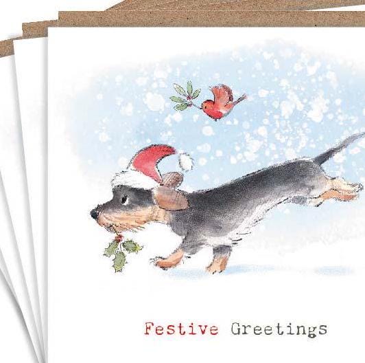 Christmas Card Pack - Sausage Dog with Robin