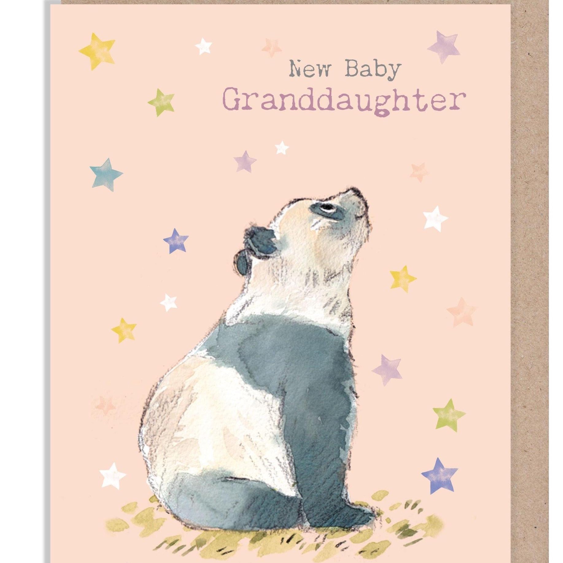 New Baby Granddaughter Card - Charming illustration - Panda - 'Wonderfully Wild'  range - Made in UK -  WWE040