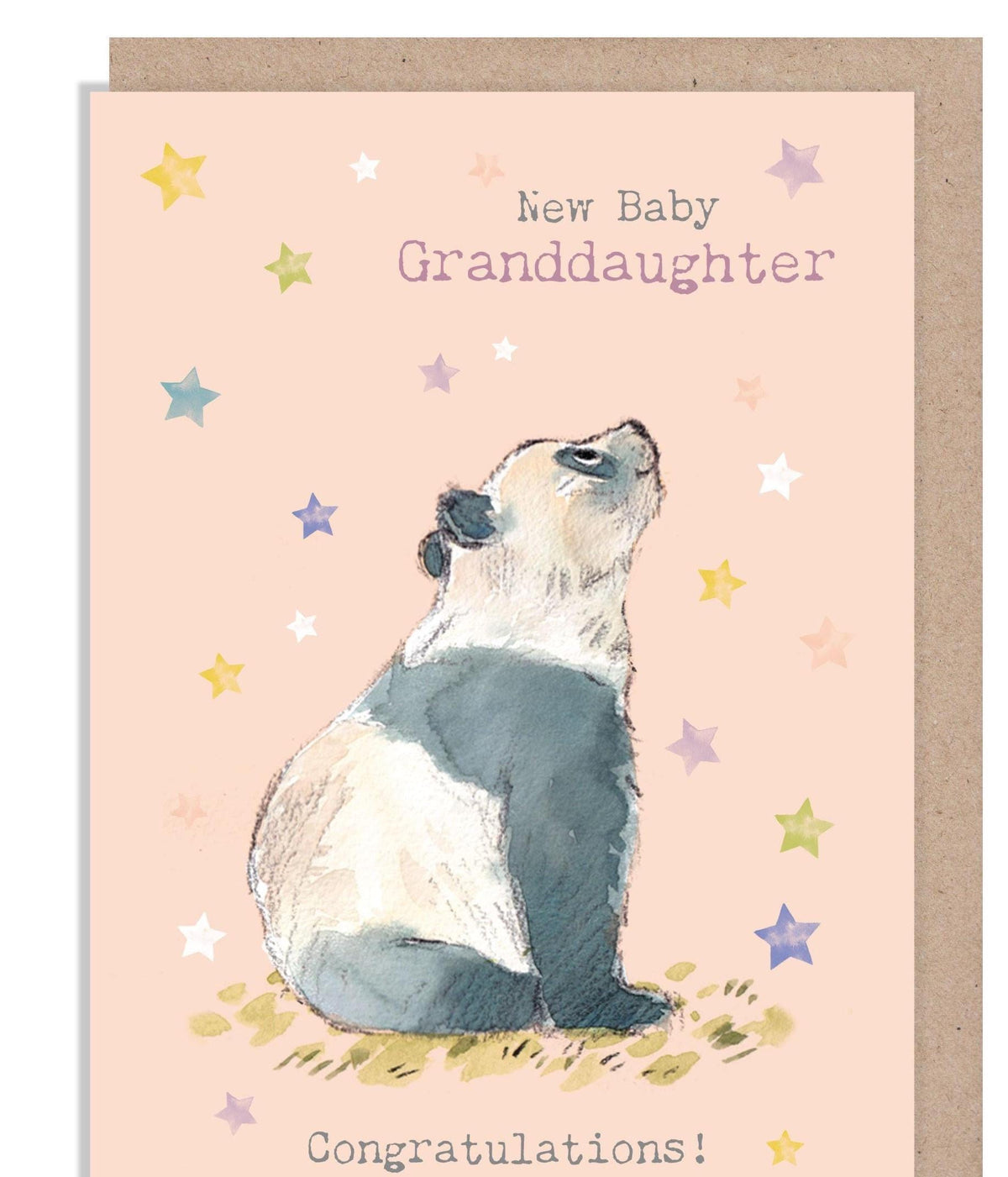 New Baby Granddaughter Card - Charming illustration - Panda - 'Wonderfully Wild'  range - Made in UK -  WWE040