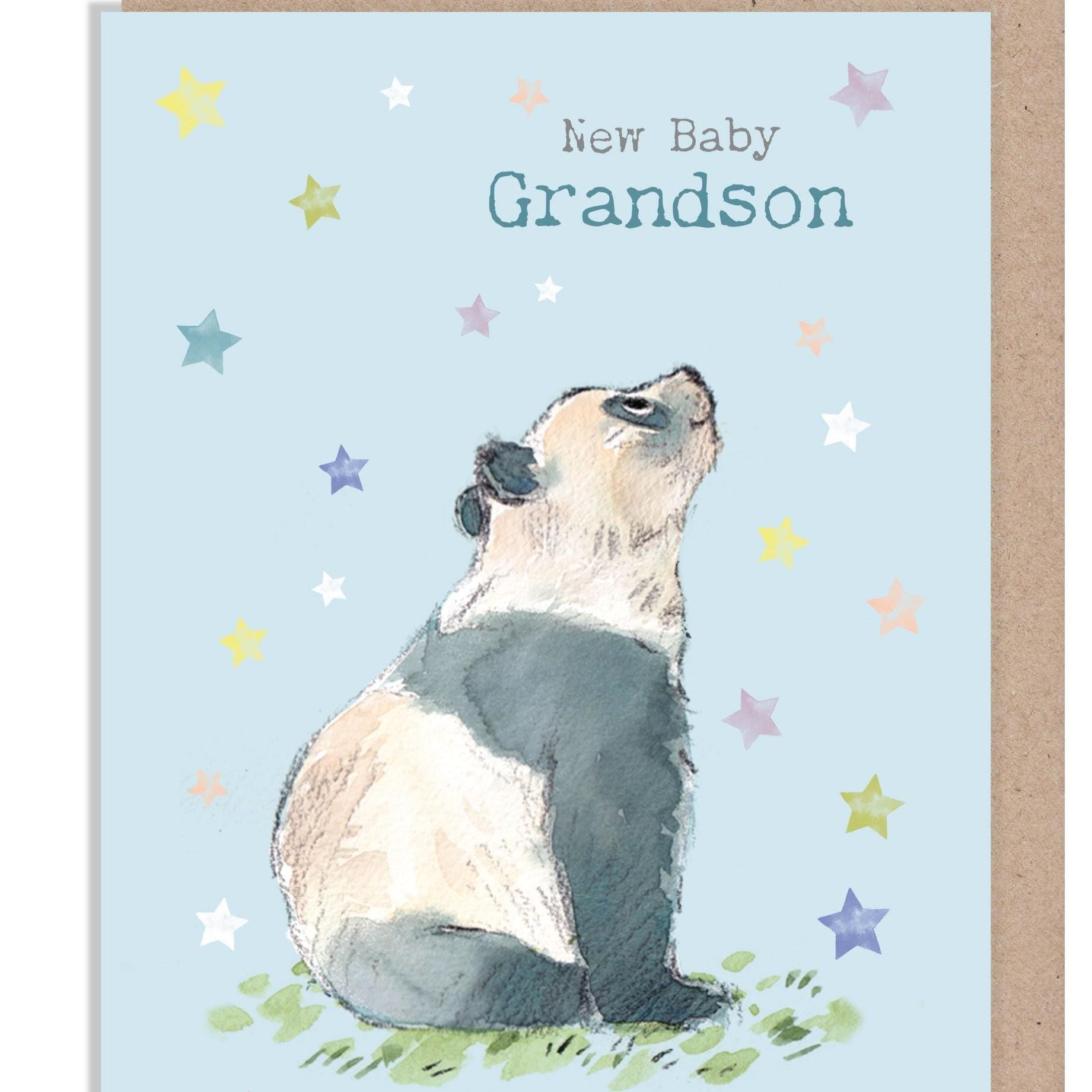 New Baby Grandson Card - Charming illustration - Panda - 'Wonderfully Wild'  range - Made in UK -  WWE041