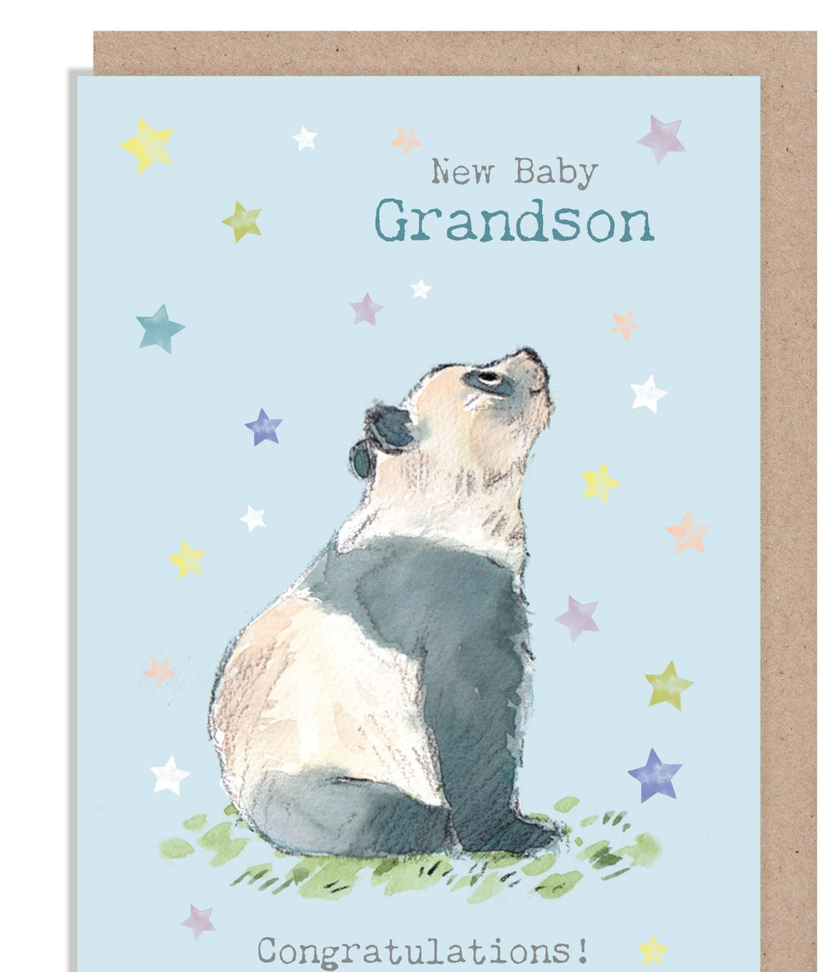 New Baby Grandson Card - Charming illustration - Panda - 'Wonderfully Wild'  range - Made in UK -  WWE041