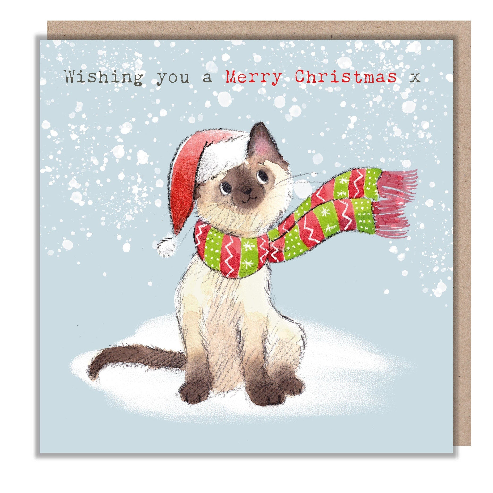 Christmas Card - Wishing You a Merry Christmas - Kitten Wearing Santa Hat and Scarf.