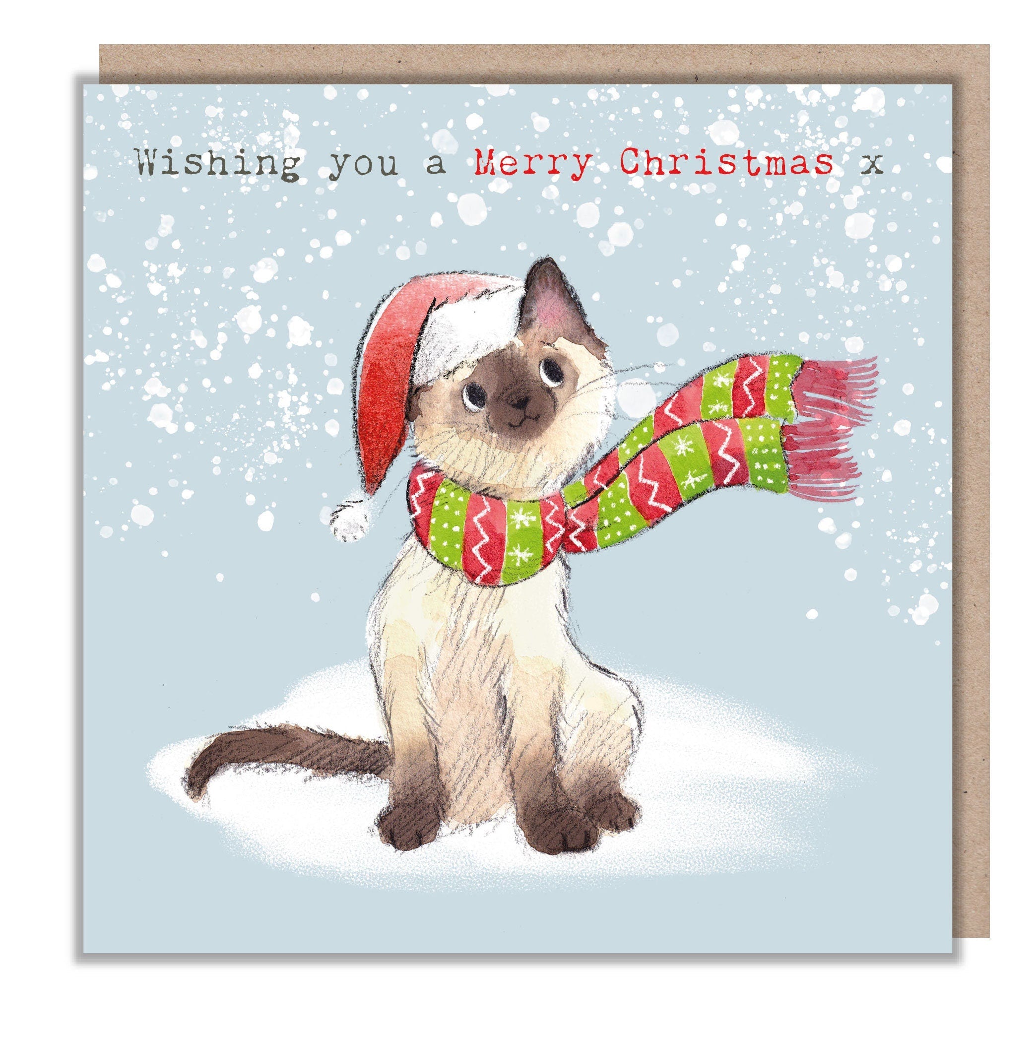 Christmas Card - Wishing You a Merry Christmas - Kitten Wearing Santa Hat and Scarf.