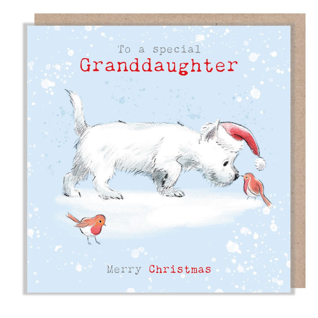 Christmas Card - White Westie Terrier Dog Wearing Christmas Hat - with 2 Robins. to a Special Granddaughter