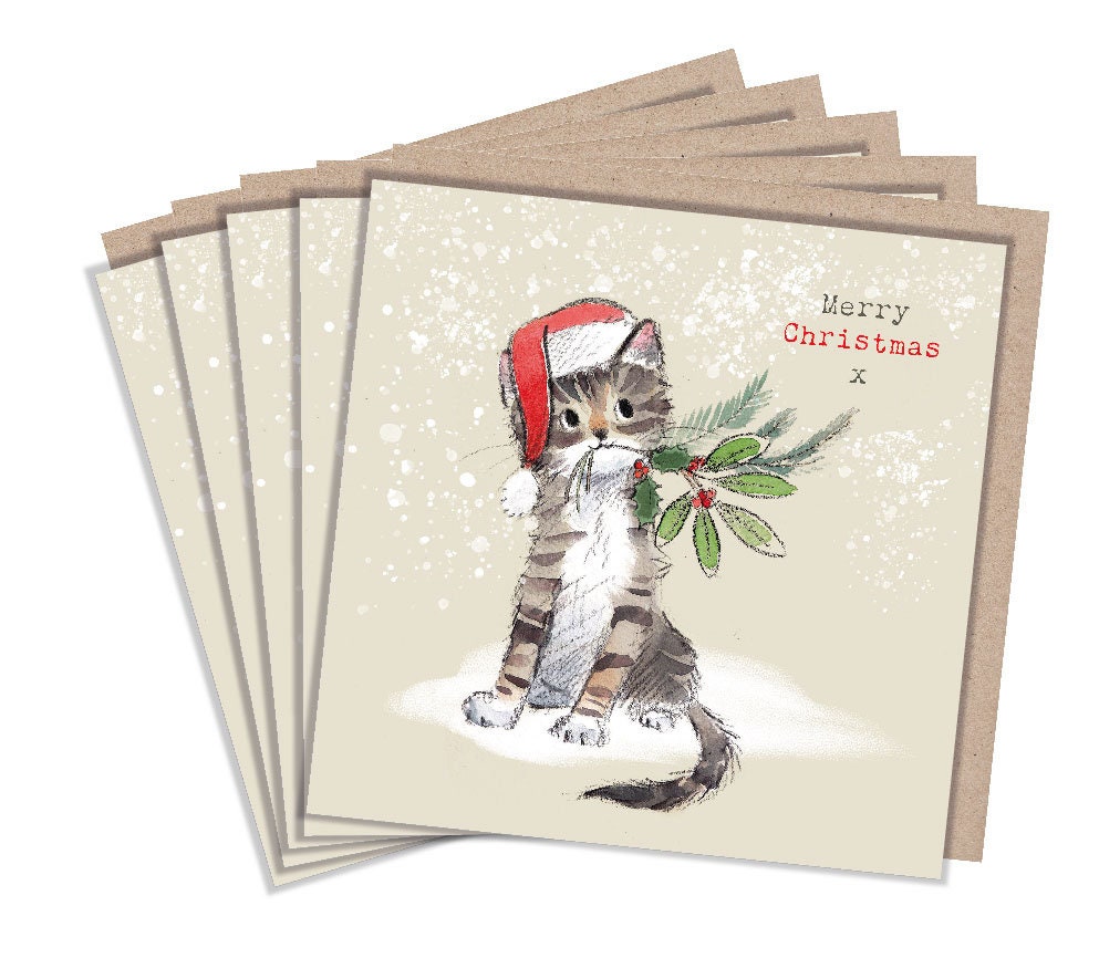 Christmas Card Pack - Tabby Cat in Hat