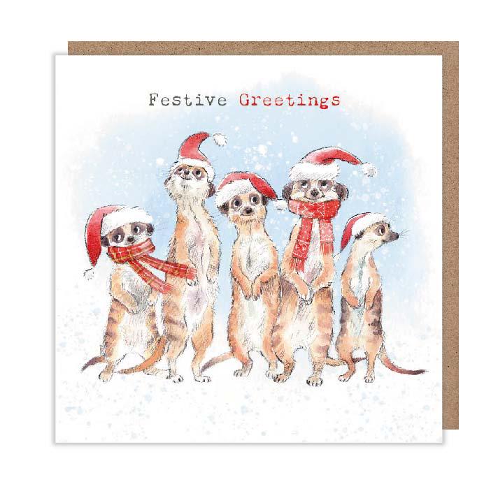 Christmas Card Pack - Meercats