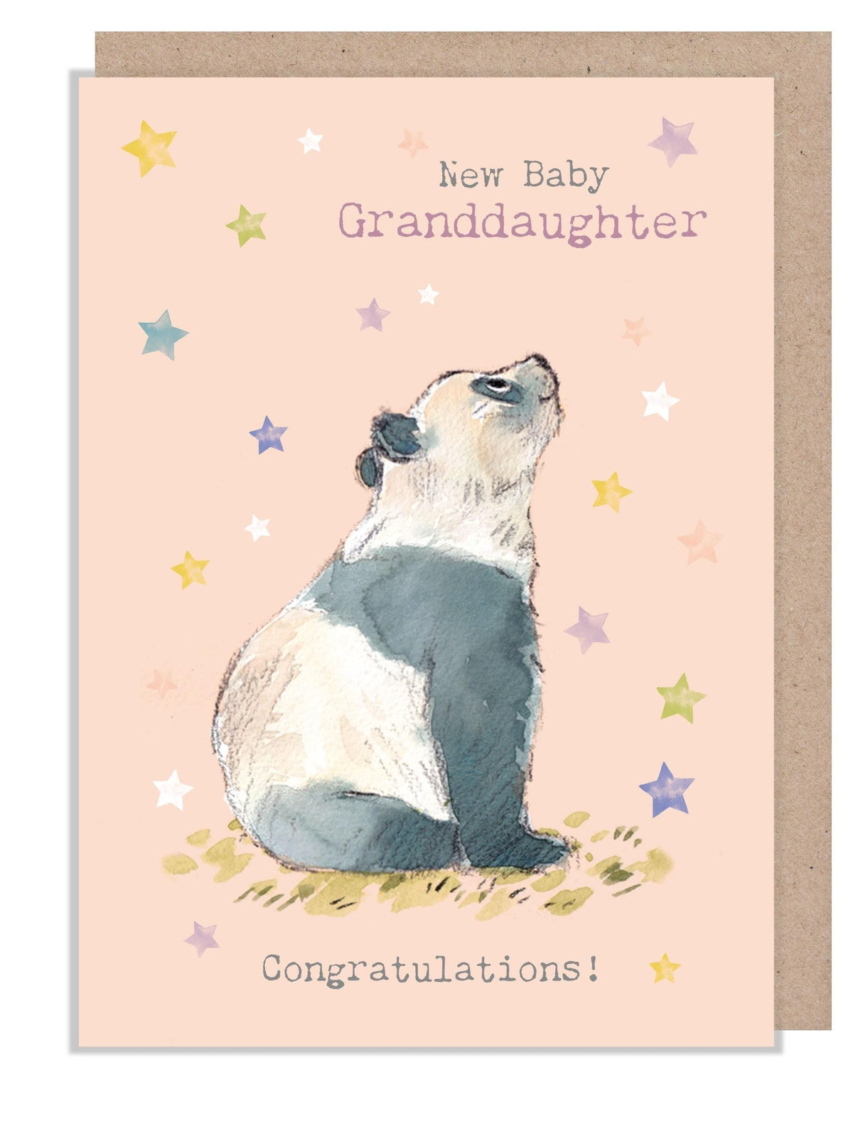 New Baby Granddaughter Card - Charming illustration - Panda - 'Wonderfully Wild'  range - Made in UK -  WWE040