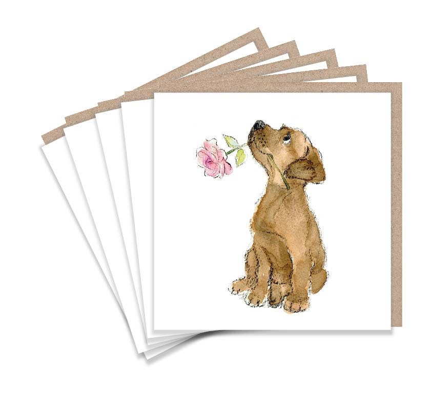 Notelet Pack - Chocolate Labrador