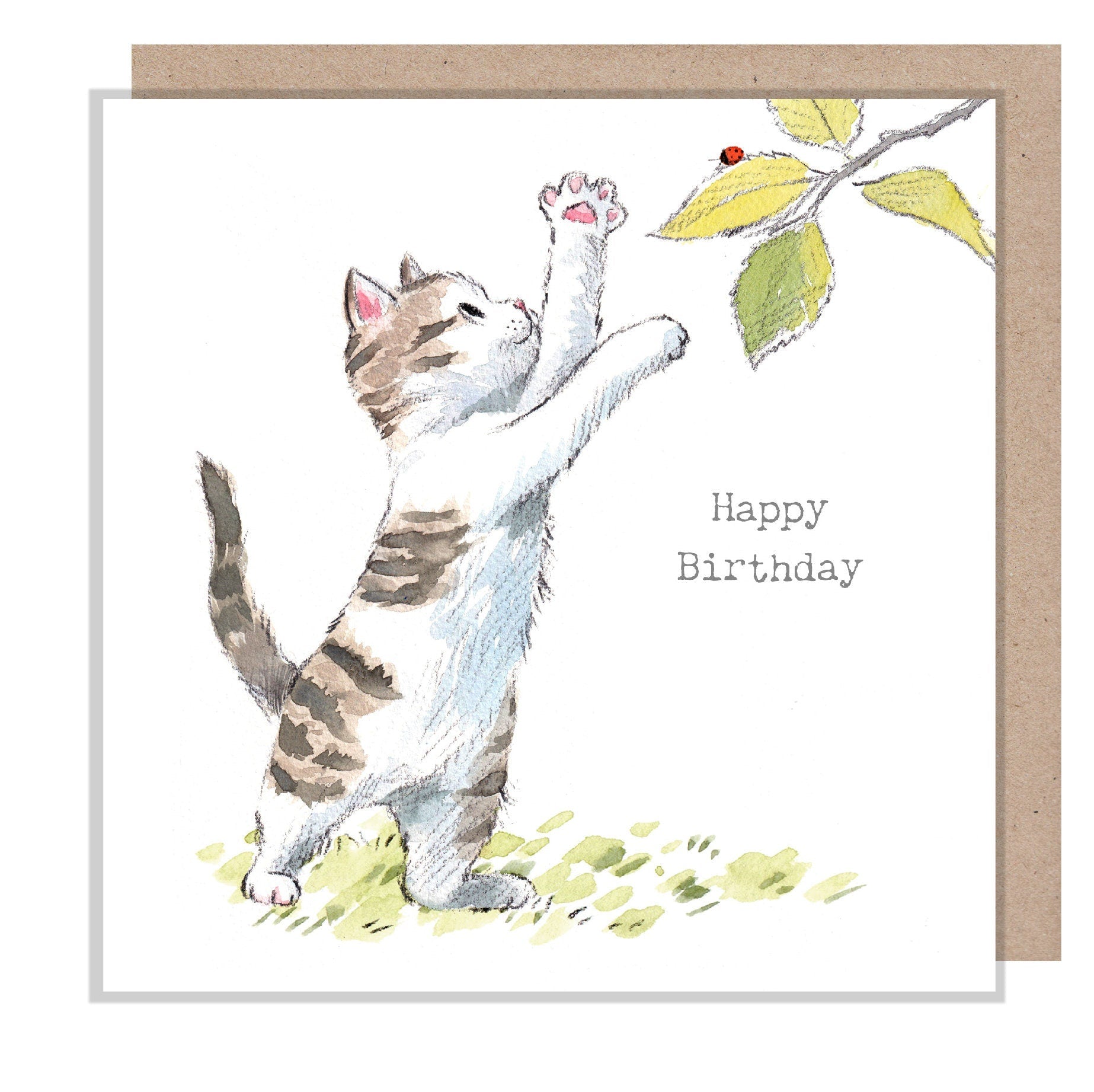 Birthday Card - Happy Birthday - Kitten with Ladybird on a Branch