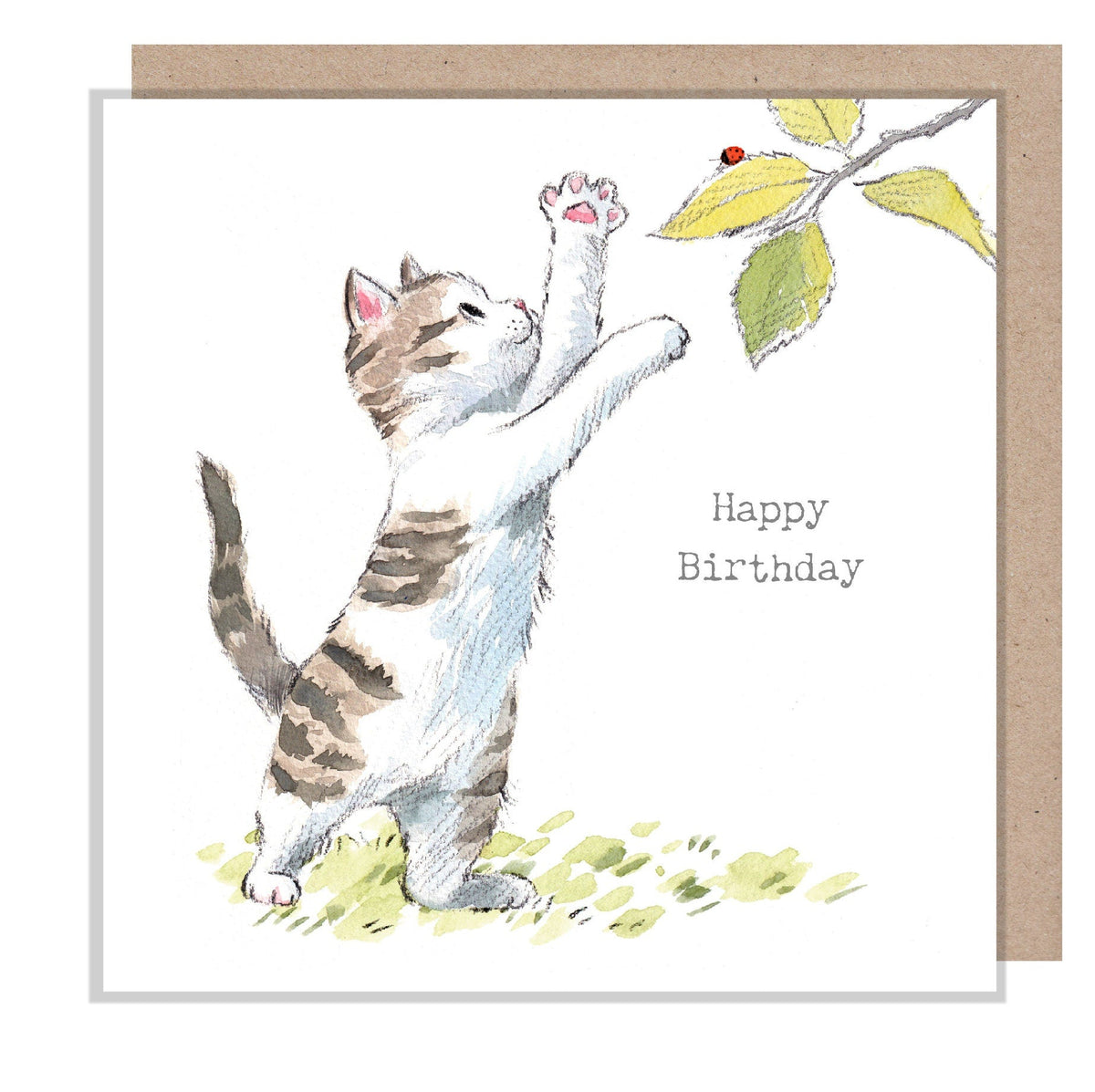 Birthday Card - Happy Birthday - Kitten with Ladybird on a Branch