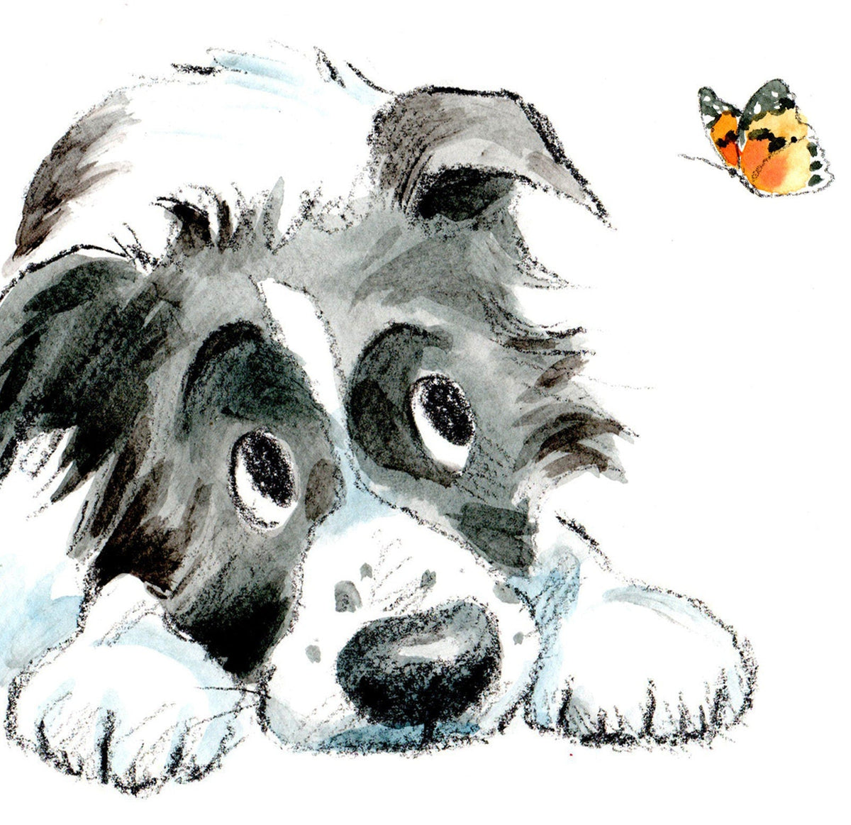Cute Dog Card- Blank - Black and White Collie with Butterfly