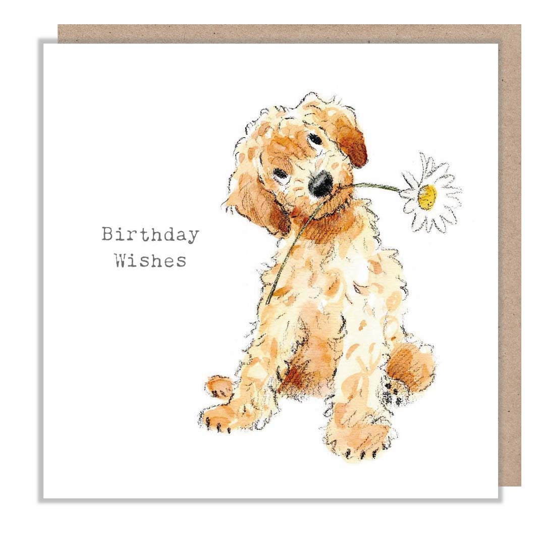 Birthday Wishes Card - Cockapoo Holding Daisy