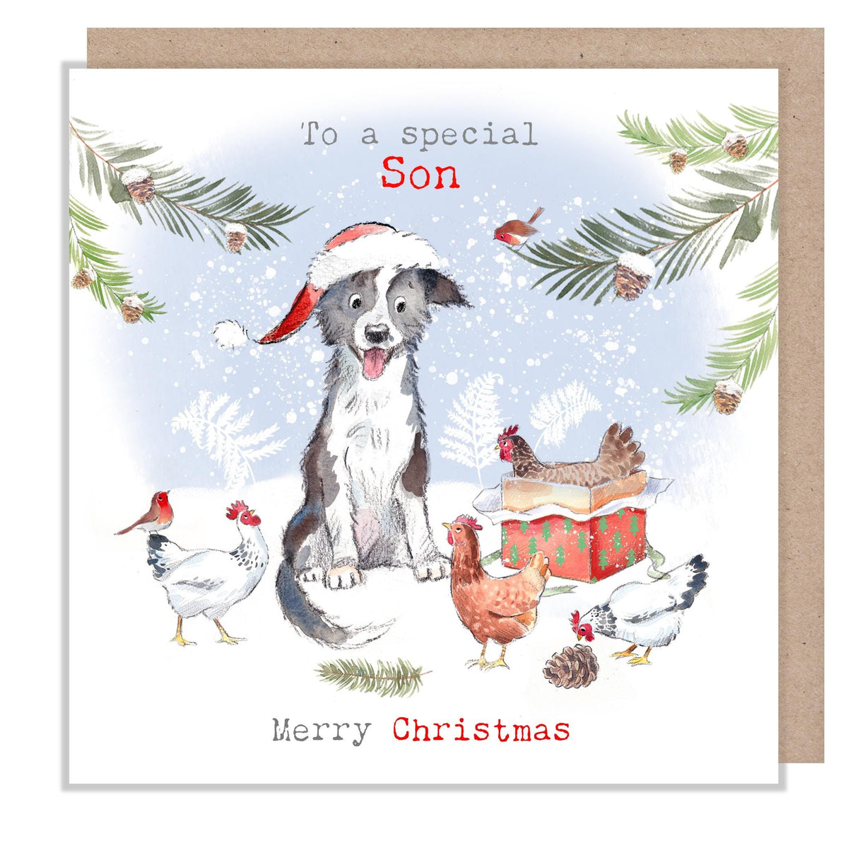 Son Christmas Card - Collie with Hens